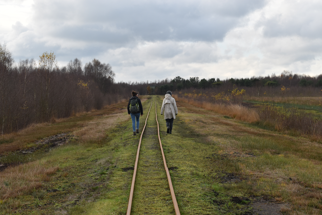 Zwischen Moor und Wildnis: Unser Besuch im Aschhorner Moor